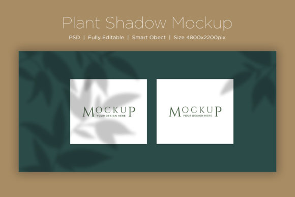 Download Two Frames with Leaves Shadow Background - Shadow background Collection