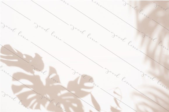Download Monstera Leaf Shadow Background - Shadow background Collection