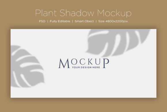 Download Monstera Leaf Shadow Background Product - Shadow background Collection