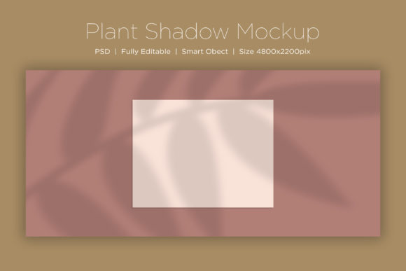 Download Plant Shadow Background Mockup Product - Shadow background Collection