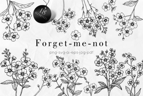 Download Forget-me-not SVG Clipart - Svg Collection